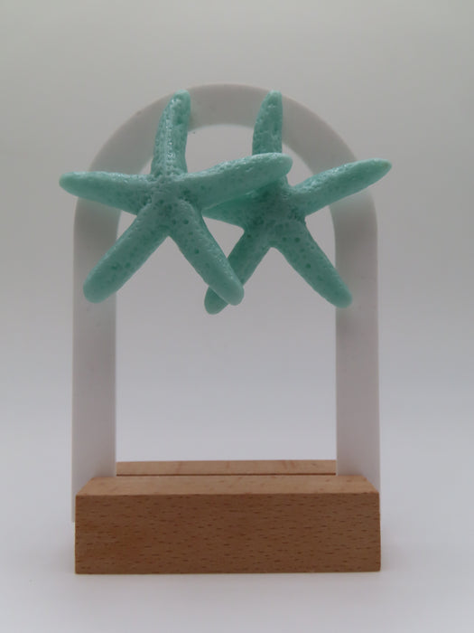 Orecchini stella marina colorata