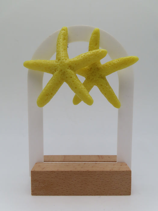 Orecchini stella marina colorata