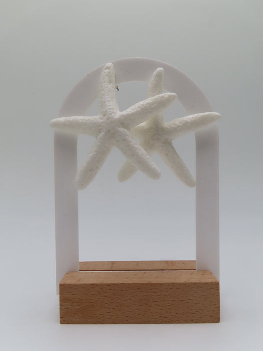 Orecchini stella marina colorata